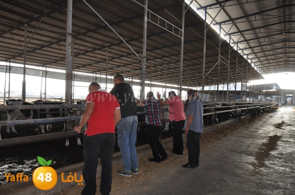 3ojojl shamal (2).JPG